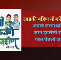 लाडकी बहिण योजनेत घोटाळा, अपात्र लाभार्थ्यांकडून जमा झालेली रक्कम परत घेतली जाणार