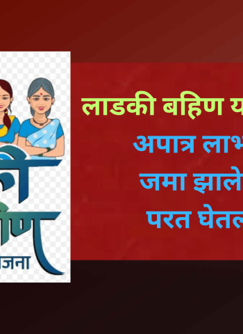 लाडकी बहिण योजनेत घोटाळा, अपात्र लाभार्थ्यांकडून जमा झालेली रक्कम परत घेतली जाणार