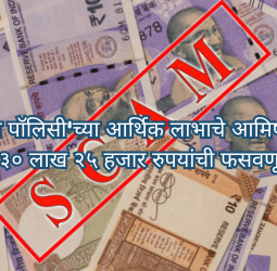 इन्शुरन्स पॉलिसी'च्या लाभाचे आमिष दाखवून ३० लाख २५ हजार रुपयांची फसवणूक
