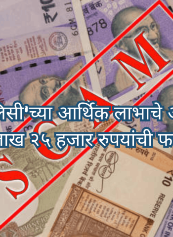 इन्शुरन्स पॉलिसी'च्या लाभाचे आमिष दाखवून ३० लाख २५ हजार रुपयांची फसवणूक