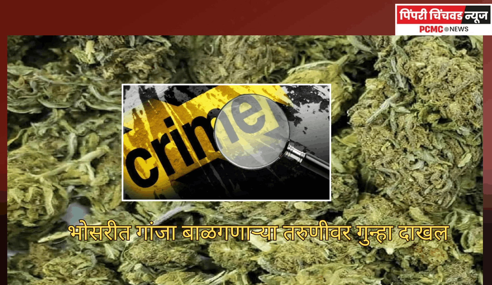 भोसरीत गांजा बाळगणाऱ्या तरुणीवर गुन्हा दाखल