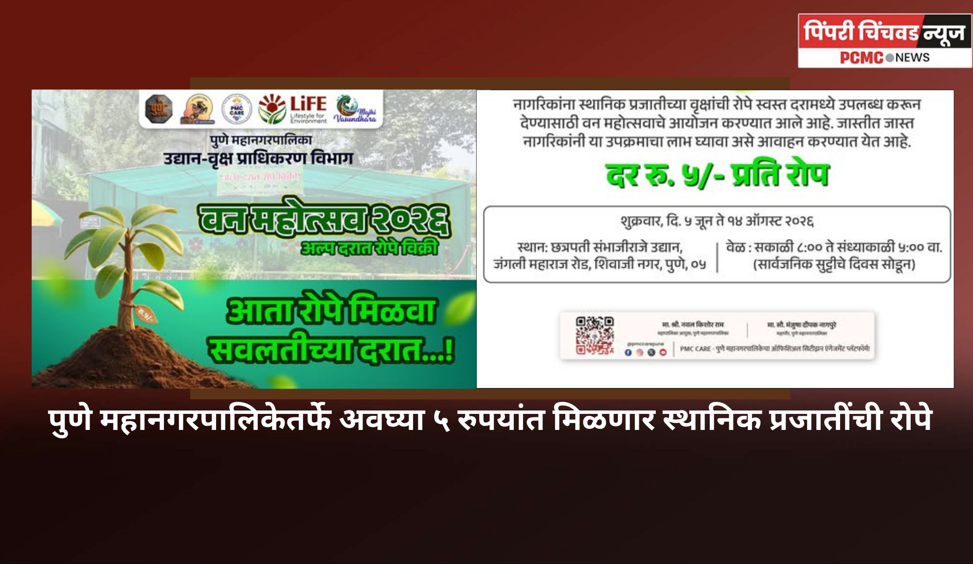 पुणे महानगरपालिकेतर्फे अवघ्या ५ रुपयांत मिळणार स्थानिक प्रजातींची रोपे