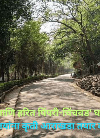 'स्वच्छ- हरित पिंपरी-चिंचवड' घडवण्यासाठी क्षेत्रीय कार्यालयांना कृती आराखडा तयार करण्याच्या सूचना