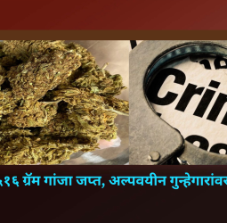 अल्पवयीन गुन्हेगाराकडे सापडला 27 हजार रुपयांचा गांजा, वाल्हेकरवाडीमध्ये कारवाई