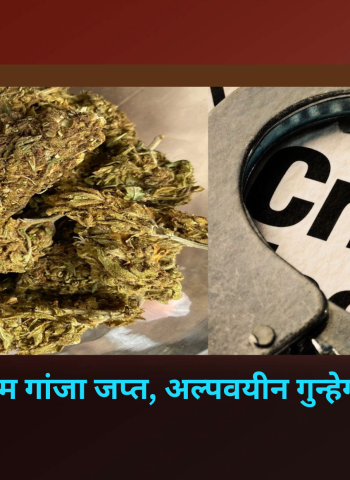 अल्पवयीन गुन्हेगाराकडे सापडला 27 हजार रुपयांचा गांजा, वाल्हेकरवाडीमध्ये कारवाई