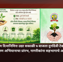 blog-image