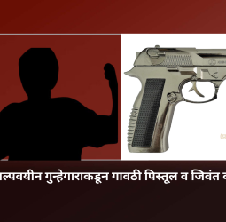 भोसरीत अल्पवयीन गुन्हेगाराकडून गावठी पिस्तूल व जिवंत काडतूस जप्त