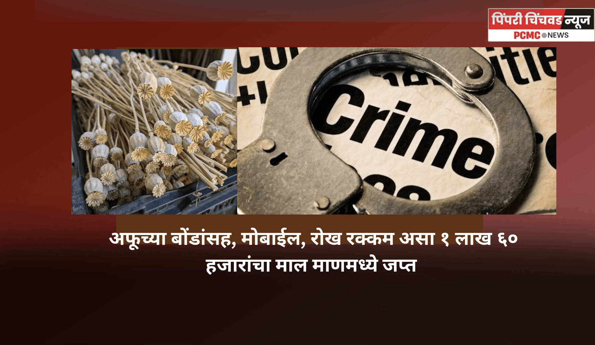 अफूच्या बोंडांसह, मोबाईल, रोख रक्कम असा १ लाख ६० हजारांचा माल माणमध्ये जप्त