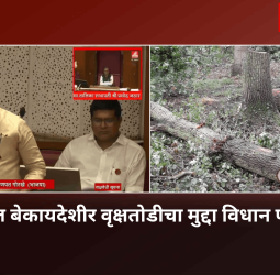 राज्यातील बेकायदेशीर वृक्षतोडीचा मुद्दा विधान परिषदेत, आमदार अमित गोरखे यांच्या तारांकित प्रश्नावर वनमंत्री गणेश नाईक यांनी दिली महत्त्वपूर्ण माहिती