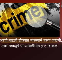 बिअरची बाटली डोक्यात मारल्याने तरुण जखमी, उत्तर महाळुंगे एमआयडीसीत गुन्हा दाखल
