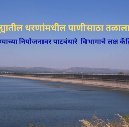 पुणे जिल्ह्यातील धरणांमधील पाणीसाठा तळाला, पिण्याच्या पाण्याच्या नियोजनावर पाटबंधारे  विभागाचे लक्ष केंद्रित