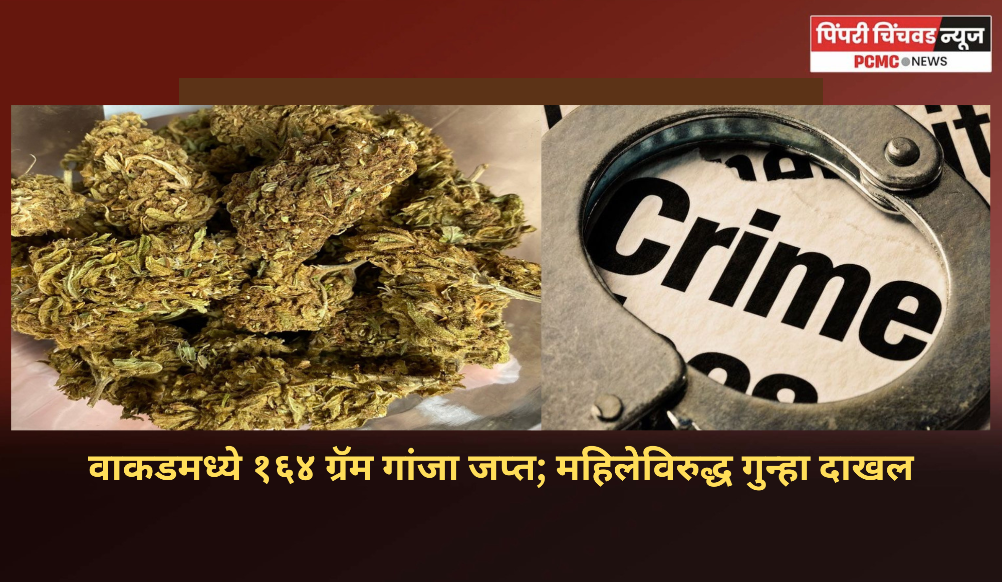 वाकडमध्ये गांजा विक्रीसाठी बाळगणाऱ्या युवतीवर गुन्हा दाखल