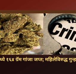 वाकडमध्ये गांजा विक्रीसाठी बाळगणाऱ्या युवतीवर गुन्हा दाखल