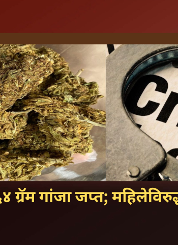 वाकडमध्ये गांजा विक्रीसाठी बाळगणाऱ्या युवतीवर गुन्हा दाखल