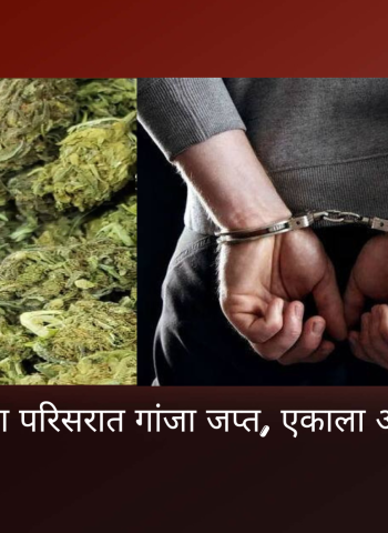 चाकण परिसरात गांजा जप्त, एकाला अटक