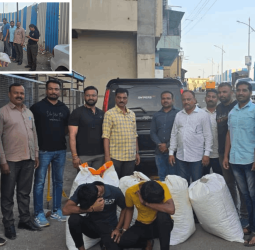 दोन २४ वर्षीय युवकांकडून ४१ लाख ९८ हजार रुपयांचा गांजा जप्त, अंमली पदार्थ विरोधी पथकाची कामगिरी