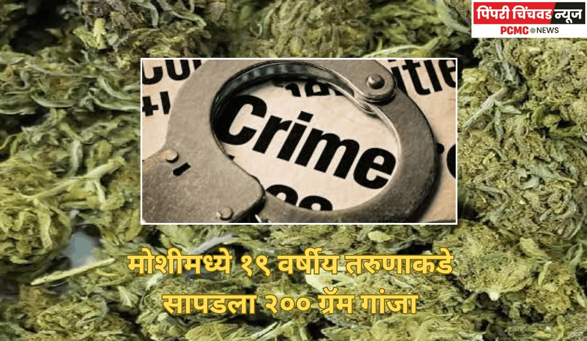 मोशीमध्ये १९ वर्षीय तरुणाकडे सापडला २०० ग्रॅम गांजा