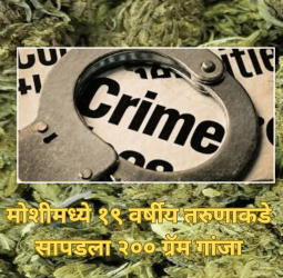 मोशीमध्ये १९ वर्षीय तरुणाकडे सापडला २०० ग्रॅम गांजा