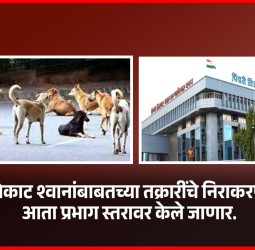 मोकाट श्वानांबाबतच्या तक्रारींचे निराकरण आता प्रभाग स्तरावर केले जाणार