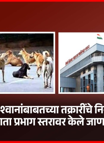 मोकाट श्वानांबाबतच्या तक्रारींचे निराकरण आता प्रभाग स्तरावर केले जाणार