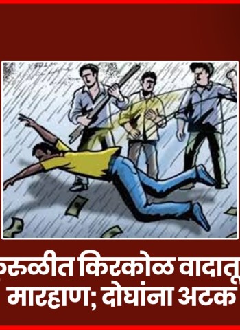 कुरुळीत किरकोळ वादातून मारहाण; दोघांना अटक