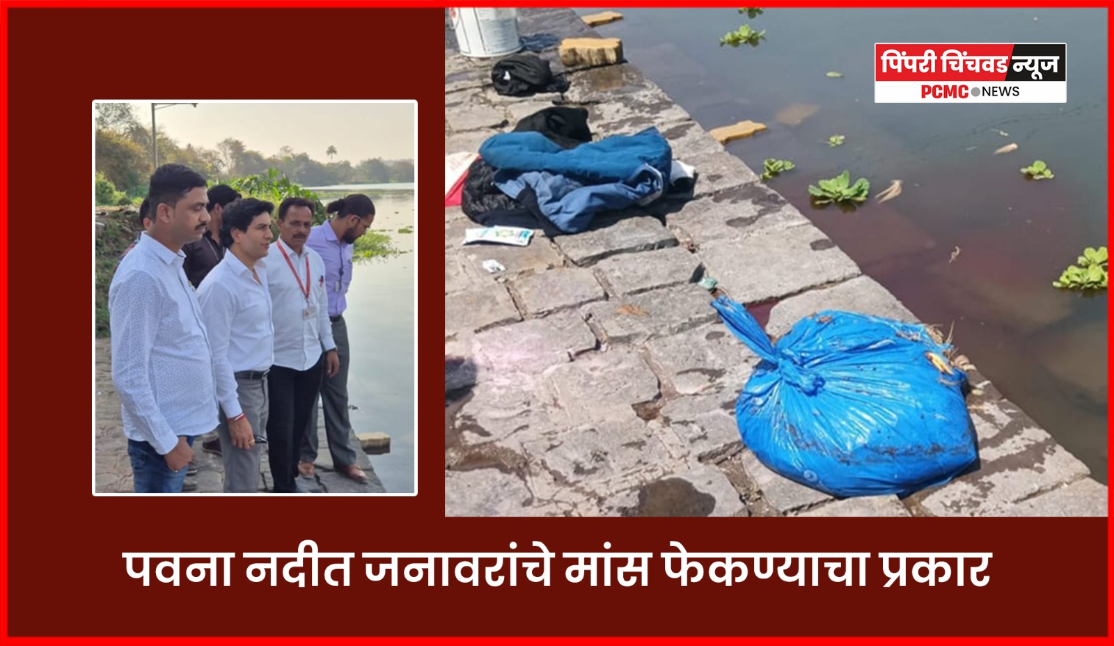 पवना नदीत जनावरांचे मांस फेकण्याचा प्रकार