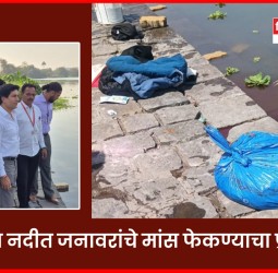 पवना नदीत जनावरांचे मांस फेकण्याचा प्रकार
