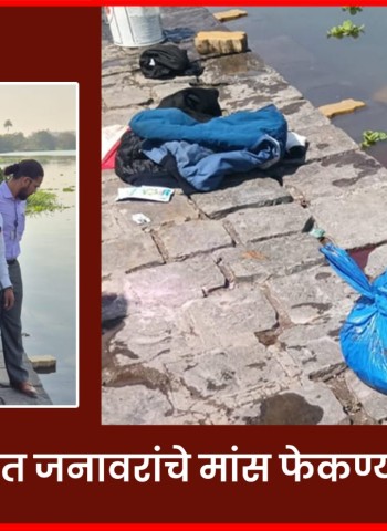 पवना नदीत जनावरांचे मांस फेकण्याचा प्रकार