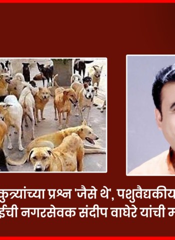 शहरात भटक्या कुत्र्यांच्या प्रश्न 'जैसे थे', पशुवैद्यकीय अधिकाऱ्यांवर कारवाईची नगरसेवक संदीप वाघेरे यांची मागणी