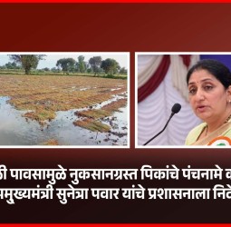 अवकाळी पावसामुळे नुकसानग्रस्त पिकांचे पंचनामे करण्याचे उपमु्ख्यमंत्री सुनेत्रा पवार यांचे प्रशासनाला निर्देश