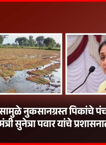 अवकाळी पावसामुळे नुकसानग्रस्त पिकांचे पंचनामे करण्याचे उपमु्ख्यमंत्री सुनेत्रा पवार यांचे प्रशासनाला निर्देश