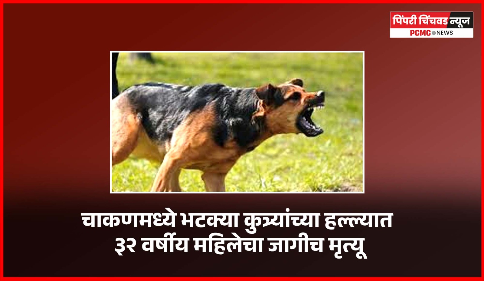 चाकणमध्ये भटक्या कुत्र्यांच्या हल्ल्यात ३२ वर्षीय महिलेचा जागीच मृत्यू