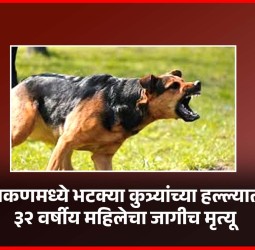 चाकणमध्ये भटक्या कुत्र्यांच्या हल्ल्यात ३२ वर्षीय महिलेचा जागीच मृत्यू