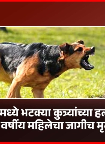 चाकणमध्ये भटक्या कुत्र्यांच्या हल्ल्यात ३२ वर्षीय महिलेचा जागीच मृत्यू