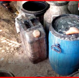 थेरगावमध्ये हातभट्टी दारु जप्त; महिला आरोपीवर गुन्हा दाखल