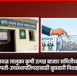 मावळ तालुका कृषी उत्पन्न बाजार समितीच्या सभापती-उपसभापतिपदासाठी बुधवारी निवडणूक