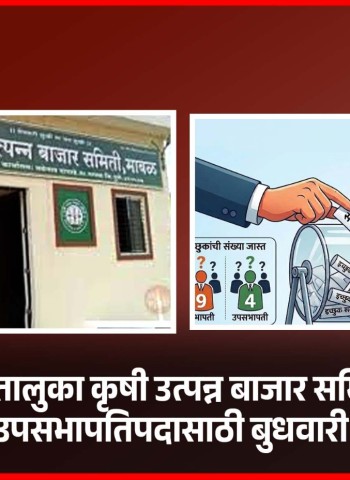 मावळ तालुका कृषी उत्पन्न बाजार समितीच्या सभापती-उपसभापतिपदासाठी बुधवारी निवडणूक
