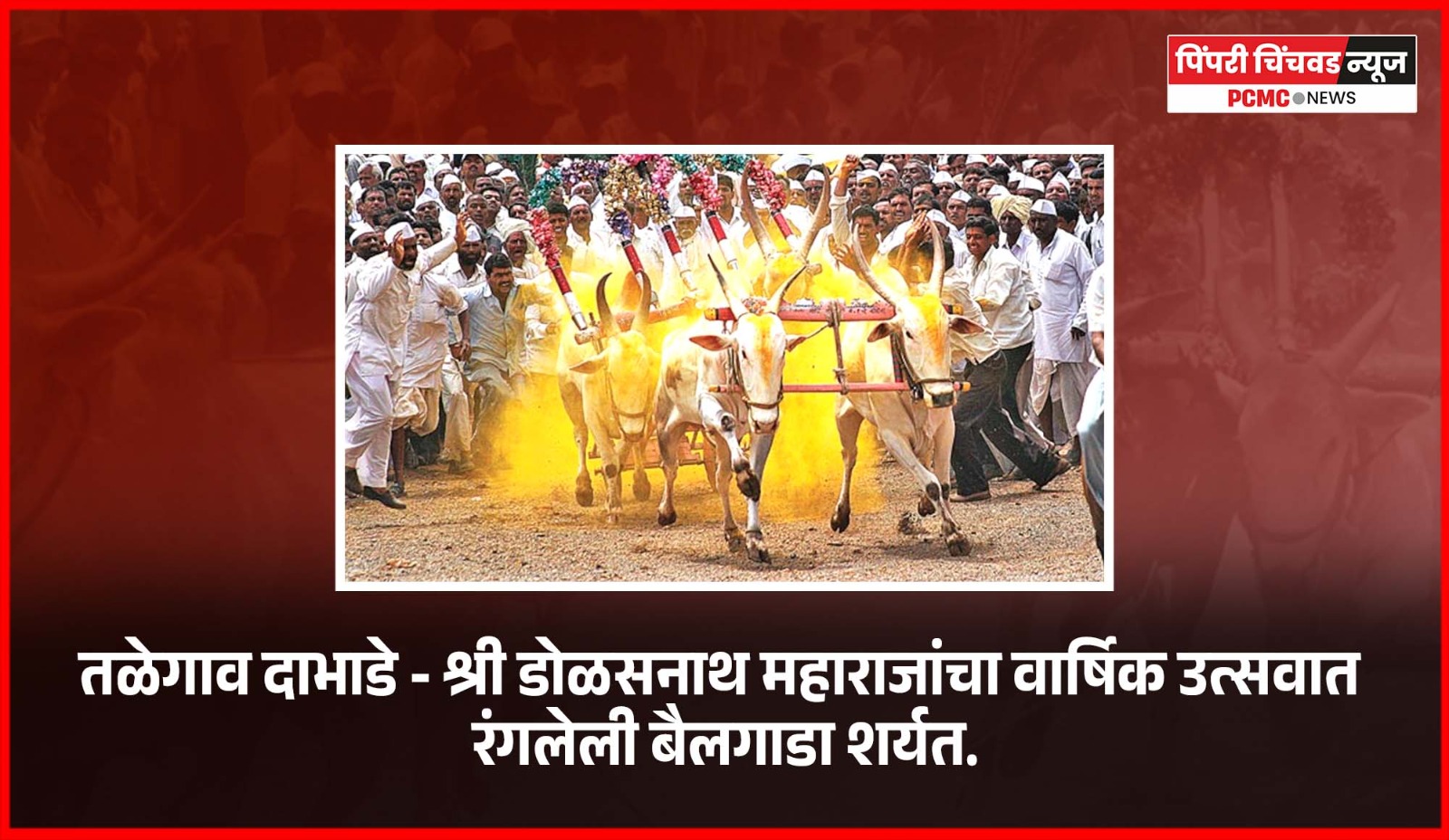 बैलगाडा शर्यतींनी तळेगाव दाभाडेमध्ये श्री डोळसनाथ महाराजांच्या वार्षिक उत्सवात रंगत