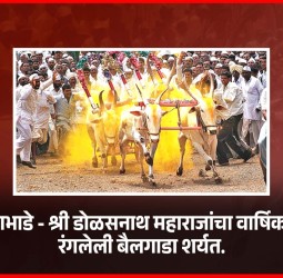 बैलगाडा शर्यतींनी तळेगाव दाभाडेमध्ये श्री डोळसनाथ महाराजांच्या वार्षिक उत्सवात रंगत