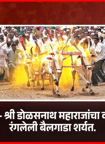 बैलगाडा शर्यतींनी तळेगाव दाभाडेमध्ये श्री डोळसनाथ महाराजांच्या वार्षिक उत्सवात रंगत