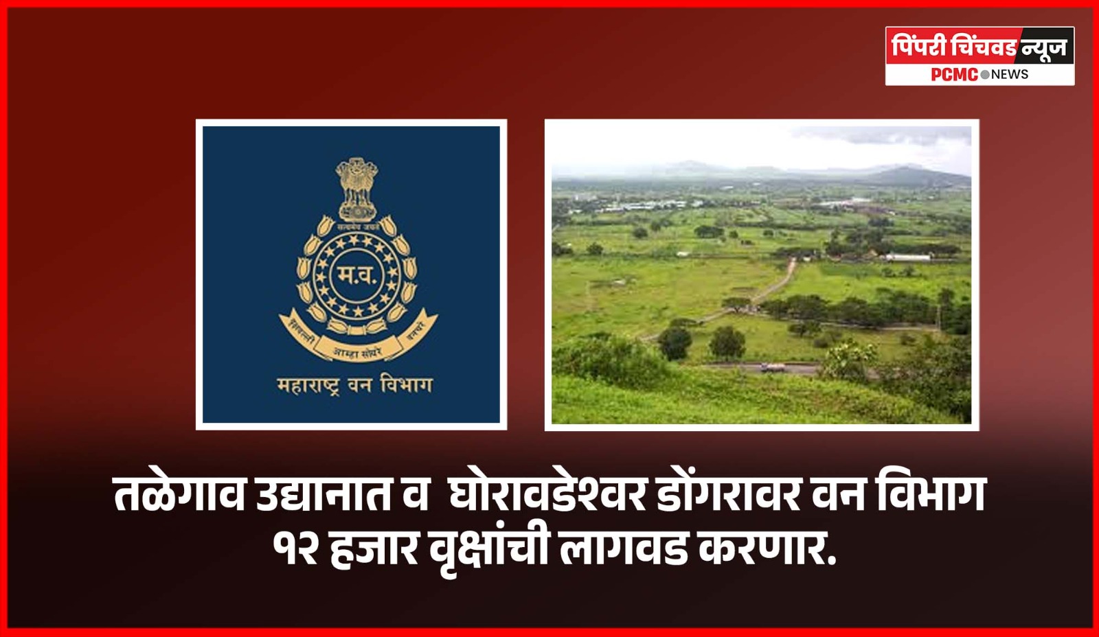 तळेगाव उद्यानात व  घोरावडेश्वर डोंगरावर वन विभाग १२ हजार वृक्षांची लागवड करणार