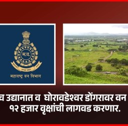 तळेगाव उद्यानात व  घोरावडेश्वर डोंगरावर वन विभाग १२ हजार वृक्षांची लागवड करणार
