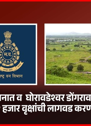 तळेगाव उद्यानात व  घोरावडेश्वर डोंगरावर वन विभाग १२ हजार वृक्षांची लागवड करणार