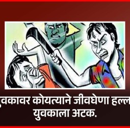 युवकावर कोयत्याने जीवघेणा हल्ला, युवकाला अटक