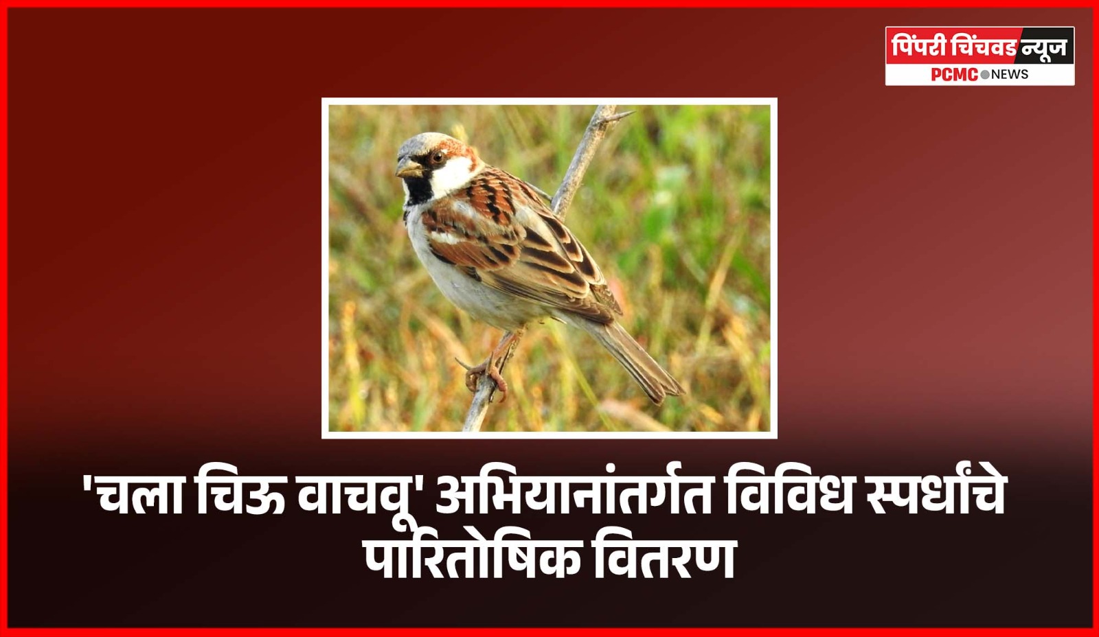 'चला चिऊ वाचवू' अभियानांतर्गत विविध स्पर्धांचे पारितोषिक वितरण