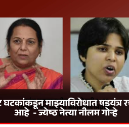 असंतुष्ट घटकांकडून माझ्याविरोधात षडयंत्र रचले जात आहे  - ज्येष्ठ नेत्या नीलम गोऱ्हे