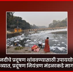 पवना नदीचे प्रदूषण थांबवण्यासाठी उपाययोजना कराव्यात, प्रदूषण नियंत्रण मंडळाकडे मागणी