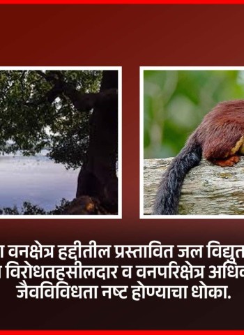 मावळातील शिरोता वनक्षेत्र हद्दीतील प्रस्तावित जल विद्युतनिर्मिती प्रकल्पाला स्थानिकांचा तीव्र विरोध