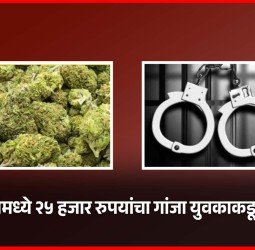 चाकणमध्ये २५ हजार रुपयांचा गांजा युवकाकडून जप्त