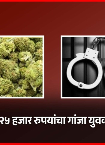 चाकणमध्ये २५ हजार रुपयांचा गांजा युवकाकडून जप्त